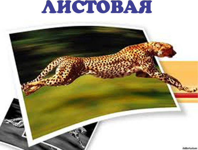 Листовая печать
